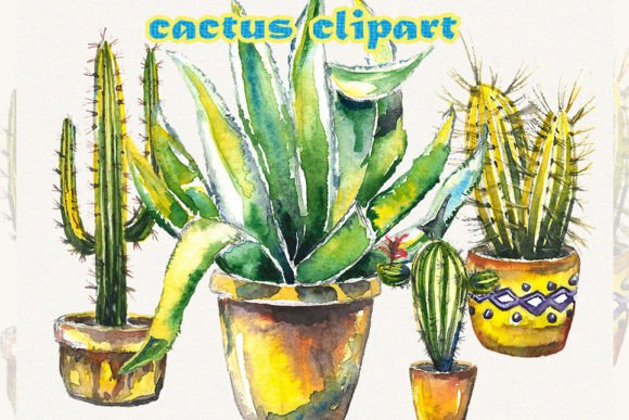 Evaluating Cactus and Floral Clipart for Creative Projects