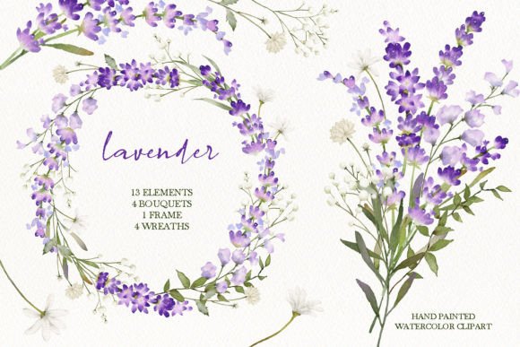 Unlock Creativity with Watercolor Lavender Floral Clipart